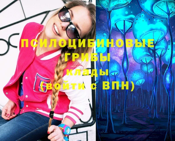 MDMA Няндома