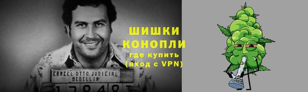 ГАЛЛЮЦИНОГЕННЫЕ ГРИБЫ Нязепетровск