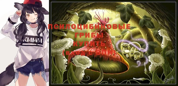 ГАЛЛЮЦИНОГЕННЫЕ ГРИБЫ Нязепетровск