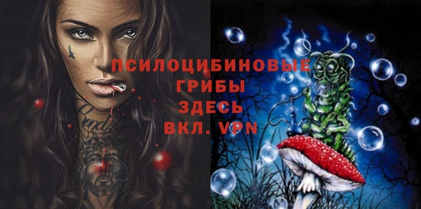 ГАЛЛЮЦИНОГЕННЫЕ ГРИБЫ Нязепетровск