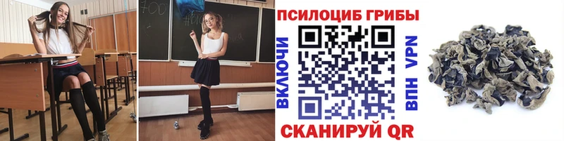 Псилоцибиновые грибы Cubensis  Ипатово 