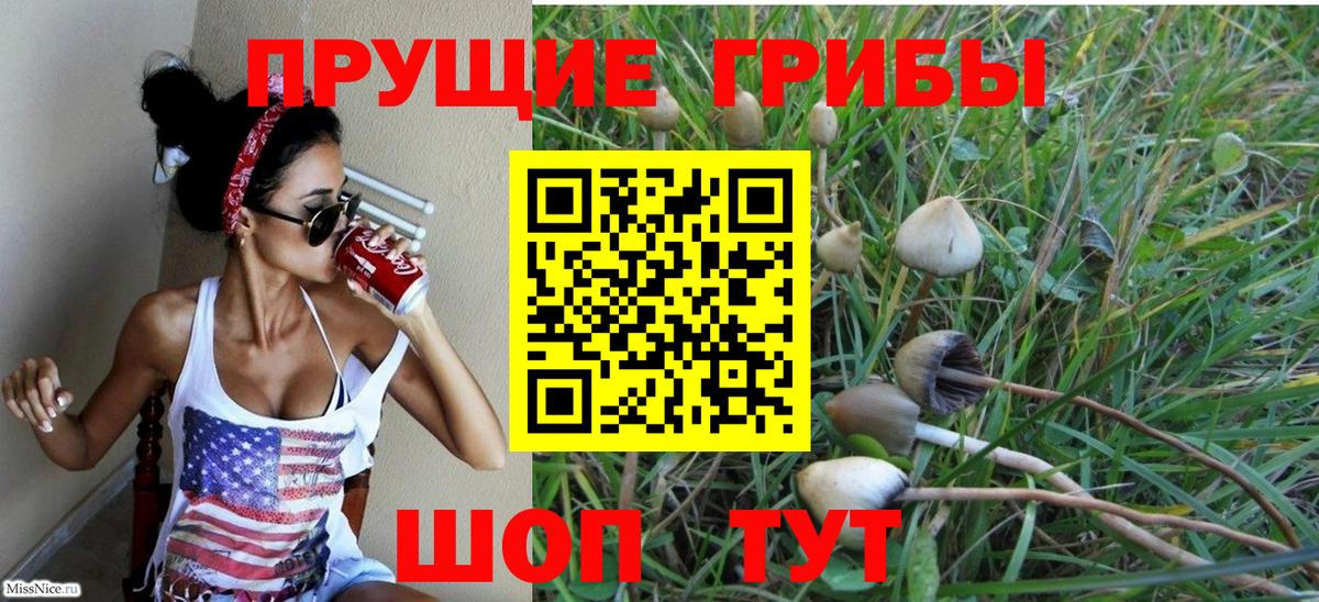 Ипатово  Галлюциногенные грибы GOLDEN TEACHER  Вход с VPN 
